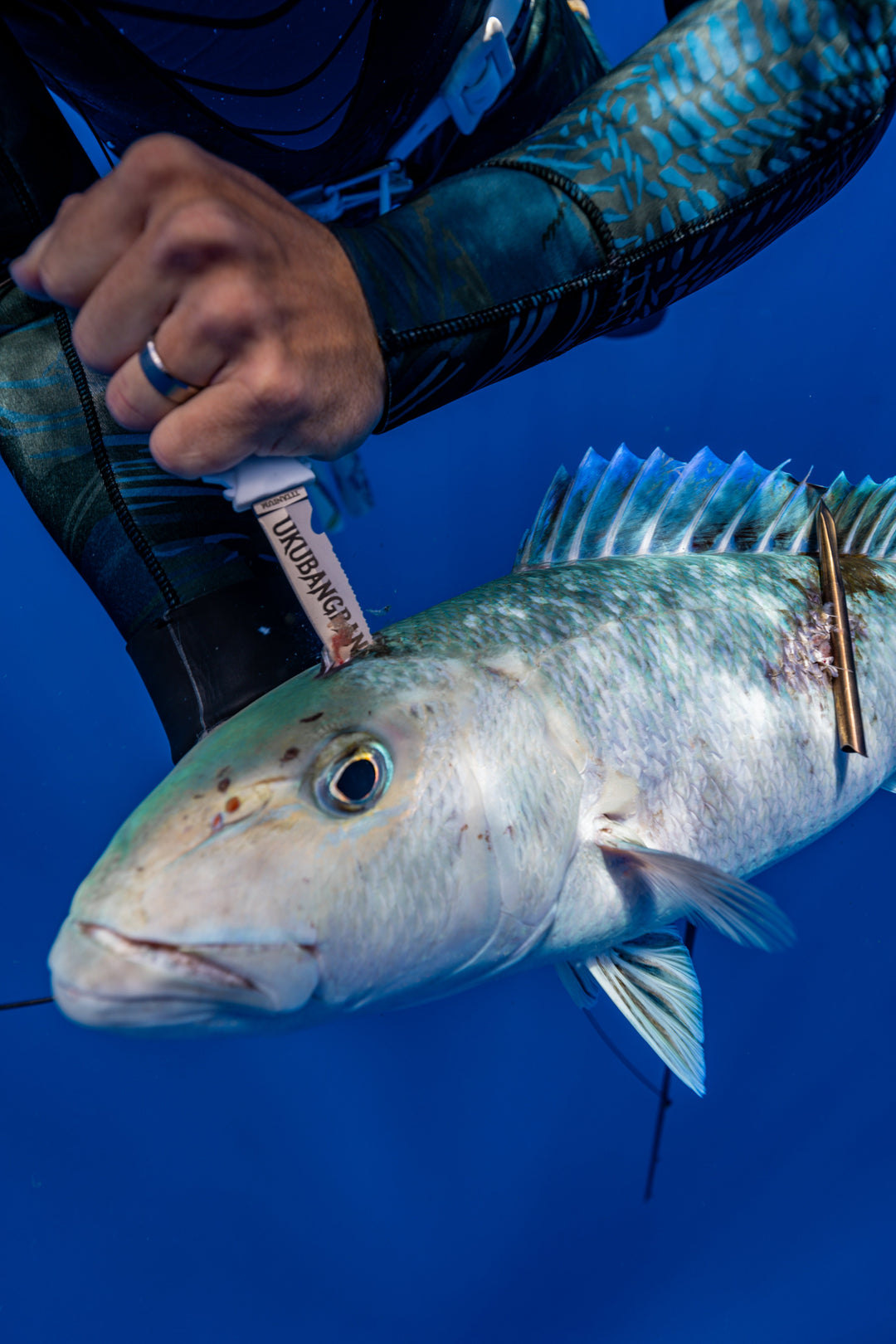 Dive Knives