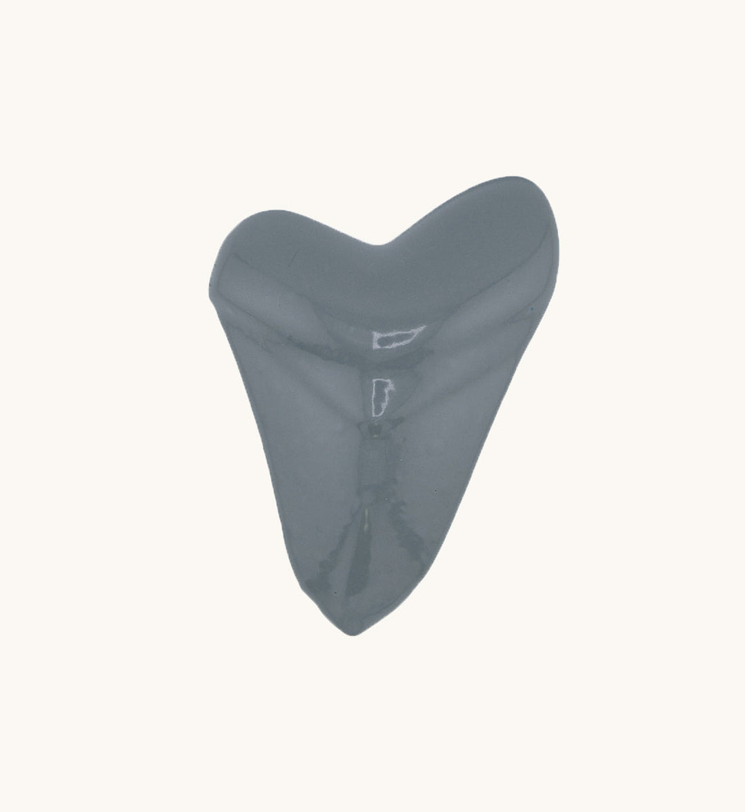 2lb Shark Tooth - Bullshark